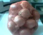 fresh shallot