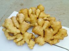 super fresh ginger