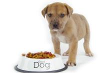 DOGS, CAT, HORSE AND POUTRY BIRD FOOD