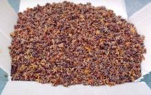 Star aniseeds