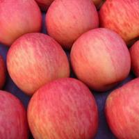 fresh fuji apple