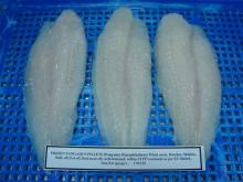 Pangasius Fillets White Meat 170/220