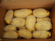 Chinese fresh potato,