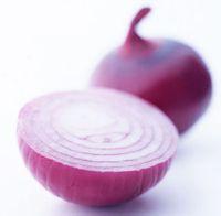fresh onion