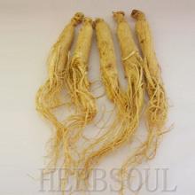 Herbsoul best selling with good quality__Siberian Ginseng powder