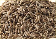 Cumin Seeds