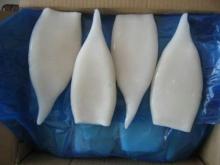 seafood, frozen squid tubes, squid ringsi, frozen calamary