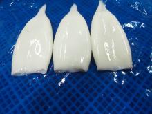 Illex squid, giant squid, frozen squid