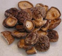 Buy Shiitake, oyster, Enoki, crimini, portobello mushrooms