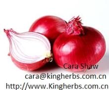 Supply China  Onion   extract 