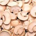 Canned Stropharia Mushroom in Whole in Brine