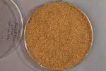 Quality MBM Meat and Bone Meal 50-55% Protien