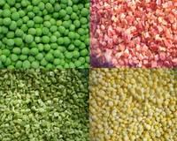 Frozen Pepper /Capsicum/ IQF Diced Green Pepper