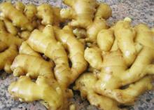 Shandong Fresh Young Ginger