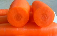 New Crop Fresh Carrot