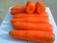 red carrot