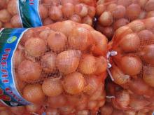 Chinese Fresh Yellow Onion
