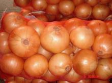 Shandong Onion