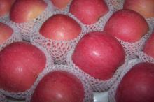 Fresh Apple from China