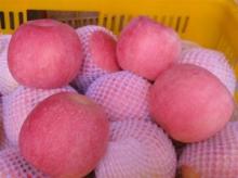 supper quality fresh apple