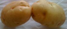 Chinese Fresh New Crop Potato