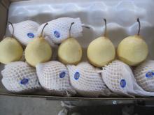 chinese fresh  YA   PEAR 