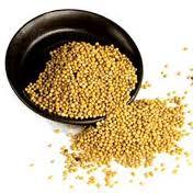 Organic certified  Yellow   Mustard 
