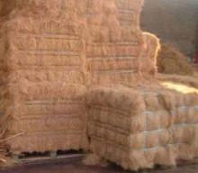 coconut fibre