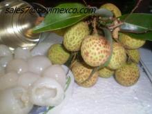  Canned   Litchi 