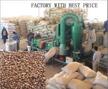 chinese buckwheat kernel factory