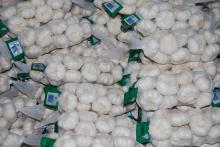  net  bag fresh garlic
