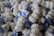 3p fresh chinese garlic