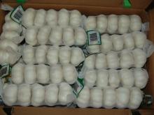 normal white garlic/pure white garlic
