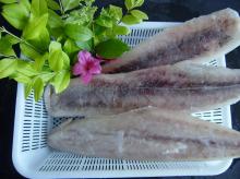 Frozen IQF Mahi mahi fillet
