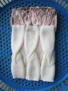 Frozen Squid T&T