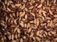 brazil nuts