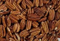 quality pecans for sell in bulk