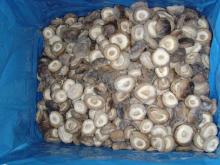 IQF shiitake