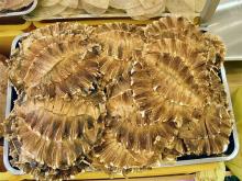 Dried Ray