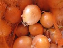 Fresh Yellow Onion(hot sale)
