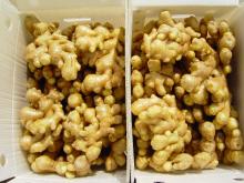 super quality fresh ginger