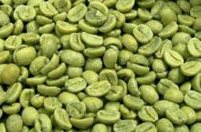 green coffee bean powder