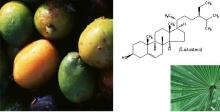 Saw Palmetto Fruit Extract