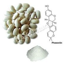  White   Bean   extract 