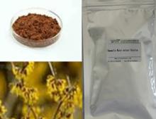 Witch Hazel Extract