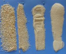 Deh garlic granules