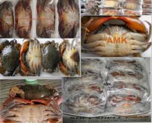 Soft Shell Crab (alive frozen seafood)
