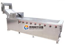 Multifunction Vegetable Washer (WA-2000)