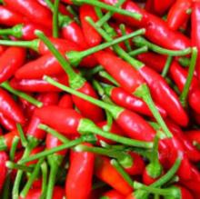 fresh pepper