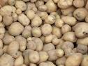 IRISH POTATOES